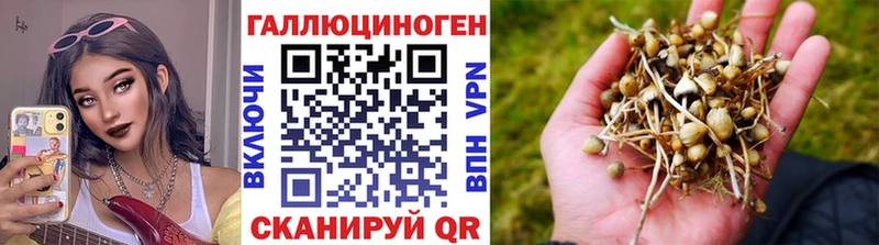 Галлюциногенные грибы Cubensis Лосино-Петровский
